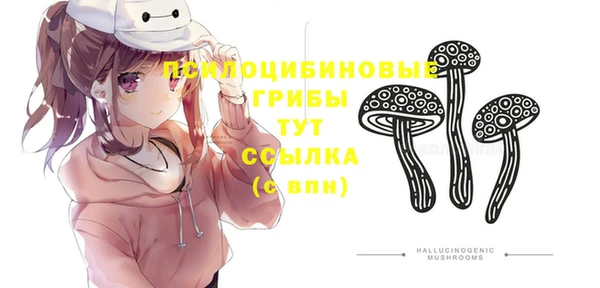 амф Навашино