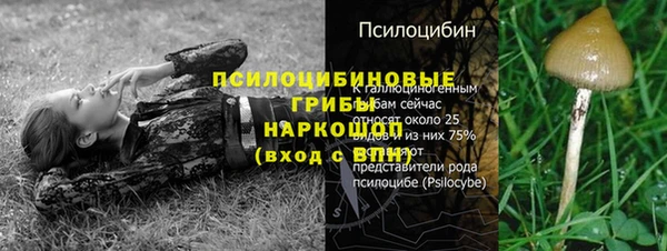 ALPHA PVP Нефтегорск