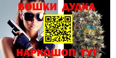 apvp Гай