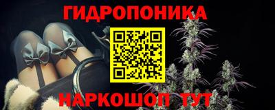 apvp Гай