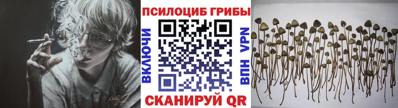 Псилоцибиновые грибы ЛСД  Кингисепп 