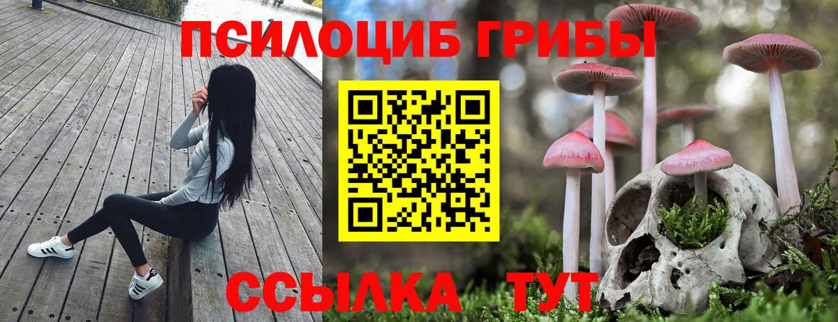 Псилоцибиновые грибы прущие грибы  Вход с VPN  Кингисепп 