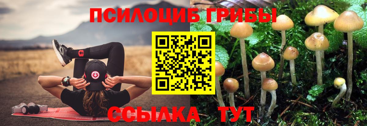 Конопля  Вход с VPN  Cocaine  APVP СК   MDMA  Кингисепп  Меф МЯУ МЯУ   ГАШИШ 